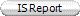 IS Report