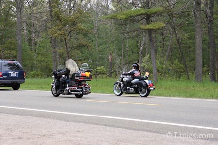 LTP_3185