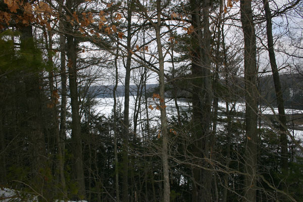 IMG_6504